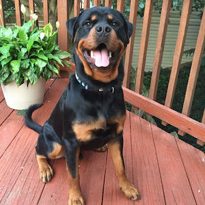 Meet your Posher, Andrea